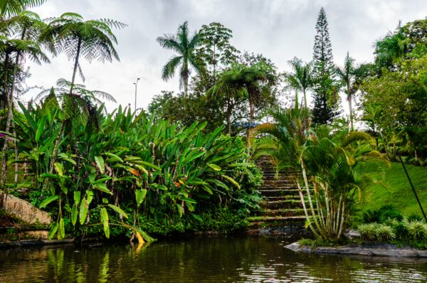 Lush greenery and palm trees surround a tranquil pond at Parque de la Vida in Armenia, Quindío, Colombia.