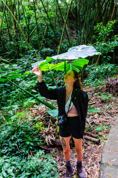 Woman exploring lush greenery with large leaves overhead in Parque de la Vida, Armenia, Quindío, Colombia.