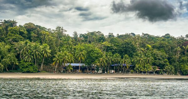 Chucheros Beach features lush greenery and palm trees along the shore, set against a cloudy sky in Uramba, Valle del Cauca.