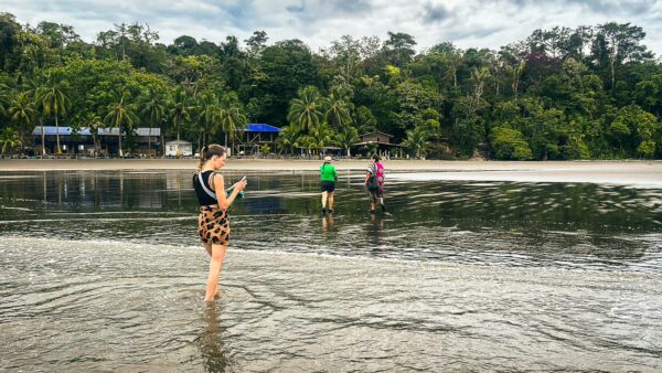 Chucheros Beach features visitors walking in shallow water with lush greenery and a tranquil shoreline in Uramba, Bahía Málaga, Valle del Cauca.