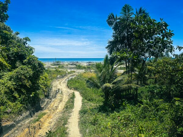 Winding path through lush greenery leads to the ocean at La Barra, Valle del Cauca, Colombia, under a bright blue sky.