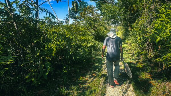 A lone person walks along a gravel path surrounded by lush greenery towards the natural pool of Ladrilleros, Valle del Cauca, Colombia.
