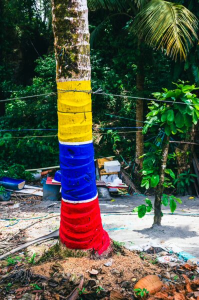 Brightly painted tree with yellow, blue, and red bands near Chucheros Beach, surrounded by lush greenery in Uramba, Valle del Cauca, Colombia.