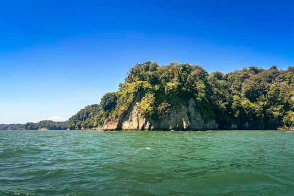 Lush greenery covers a rocky island against the clear blue sky and calm waters of Valle del Cauca, Colombia.