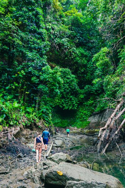 Lush greenery surrounds hikers navigating rocky terrain along La Siepe in Uramba, near Bahía Málaga, Valle del Cauca, Colombia.