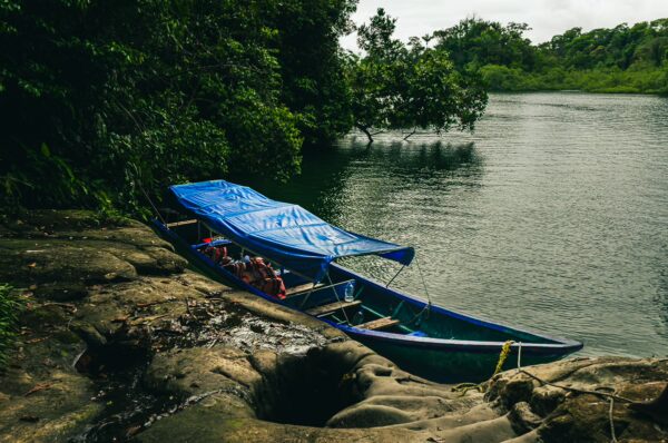 Serene boats with blue canopies rest near the tranquil waters of Uramba, Bahia Malaga in Valle del Cauca, Colombia.