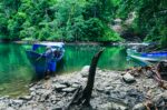 Canoes docked at the lush banks of La Siepe, Uramba, with vibrant green foliage reflecting in the calm water, Valle del Cauca, Colombia.