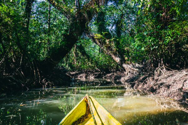 Bright yellow kayak glides through lush green mangroves at natural pool Pachenda, Ladrilleros, Valle del Cauca, Colombia.