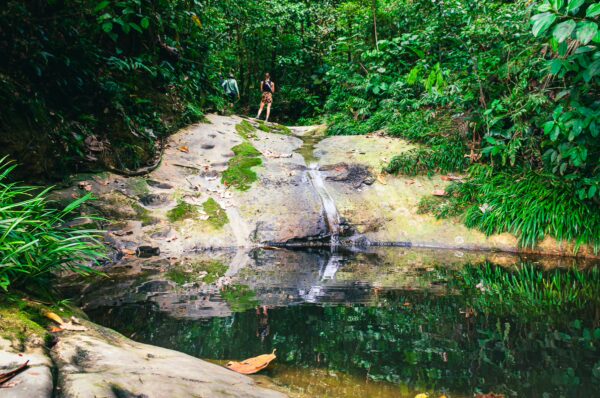 Serene pool reflecting lush greenery, with a gentle waterfall cascading over mossy rocks in Tres Marias, Uramba, Valle del Cauca, Colombia.