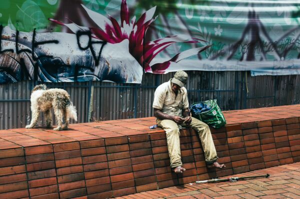 A man in beige clothing sits on a brick bench in Plazoleta de San Francisco, Cali, with a dog nearby and vibrant murals in the background.