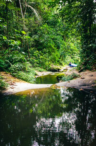 Lush greenery surrounds a tranquil stream in Tres Marias, Uramba, Valle del Cauca, Colombia, reflecting the vibrant flora.