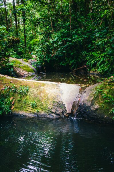 Lush greenery surrounds a tranquil stream in Tres Marias, Uramba, Bahia Malaga, showcasing vibrant plants and a gentle waterfall.