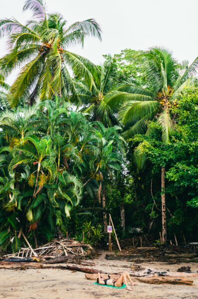 Lush palm trees and vibrant greenery frame Juan de Dios Beach in Uramba, Bahia Malaga, Valle del Cauca, Colombia, inviting relaxation.