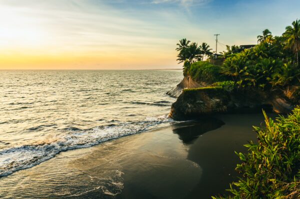 Golden sunset over the dark sands of Ladrilleros beach, with lush green palm trees framing the tranquil ocean scene.