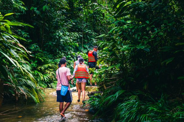 Travelers stroll along a narrow stream surrounded by vibrant green foliage in Tres Marias, Uramba, Bahia Malaga, Valle del Cauca, Colombia.