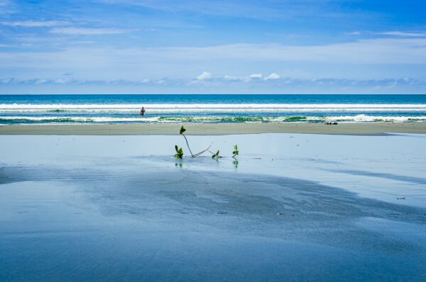 Waves gently lap the shore at La Barra in Valle del Cauca, Colombia, with a lone figure walking along the sandy beach.