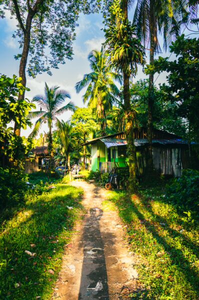 Lush greenery lines a dirt path leading to colorful houses in Juanchaco, Valle del Cauca, Colombia, illuminated by soft sunlight.