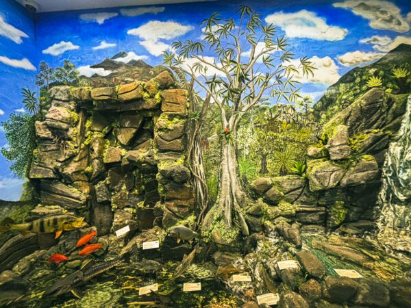 Vibrant diorama showcasing lush greenery and a large tree against a blue sky backdrop at the Natural History Museum, Popayán, Cauca, Colombia.