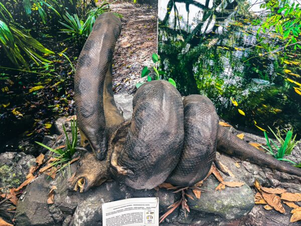 Natural history exhibit featuring a realistic creature model amidst lush greenery at the Natural History Museum, Popayán, Cauca, Colombia.