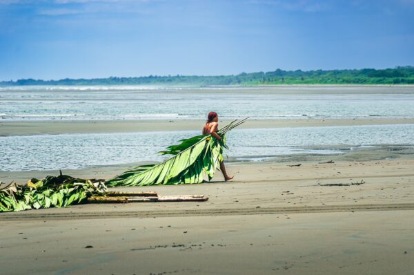 A person carries large green palm fronds along the sandy beach at La Barra, Valle del Cauca, Colombia, under a bright blue sky.