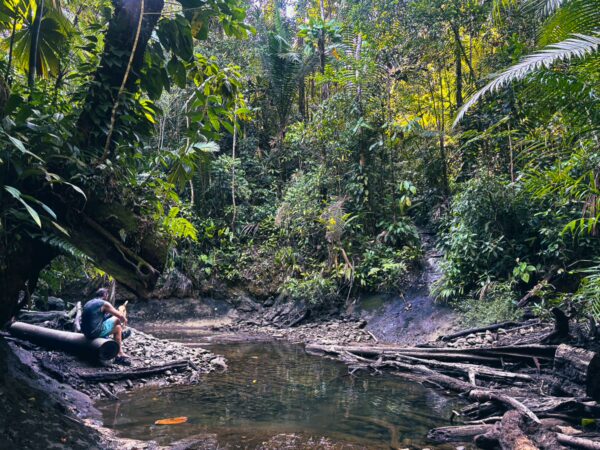 Natural pool surrounded by lush greenery and tropical plants in Ladrilleros, Valle del Cauca, Colombia.