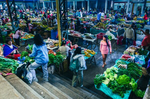 Colorful vegetable stalls fill the Silva market in Cauca, Colombia, bustling with shoppers amidst a vibrant array of produce.