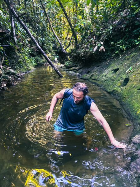 A person wades through a lush, green natural pool in Pachenda, surrounded by dense foliage and clear water.