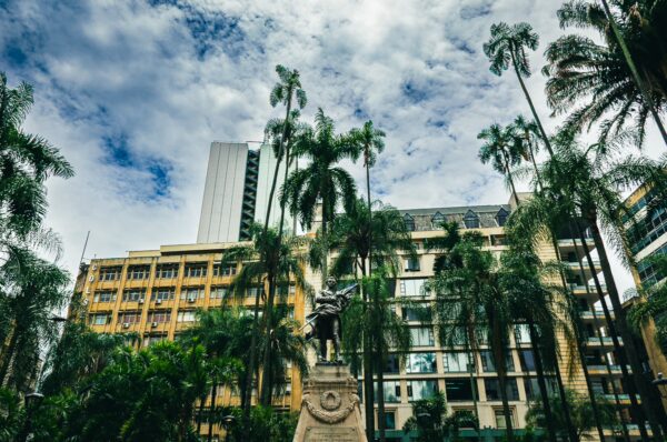 Statue surrounded by lush palm trees in Plaza de Cayzedo, highlighting architecture in Cali, Valle del Cauca, Colombia.
