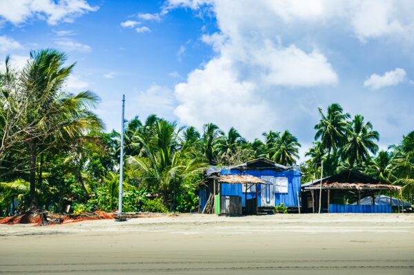 Vibrant blue buildings stand among lush palm trees along the sandy shores of La Barra, Valle del Cauca, Colombia.