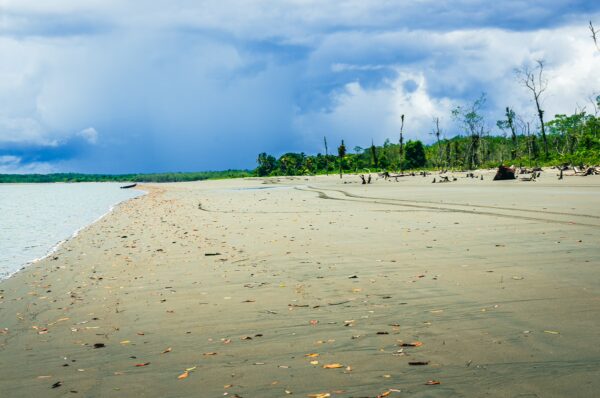Golden sandy beach stretches along La Barra in Valle del Cauca, Colombia, with lush greenery and cloudy skies in the background.