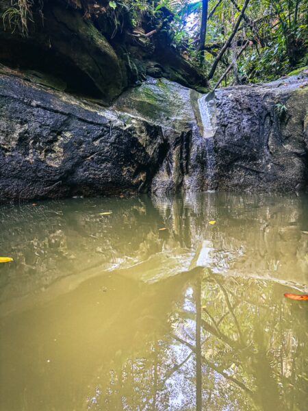 Calm natural pool reflecting surrounding rocks and lush greenery at Piscina Natural Pachenda, Ladrilleros, Valle del Cauca, Colombia.