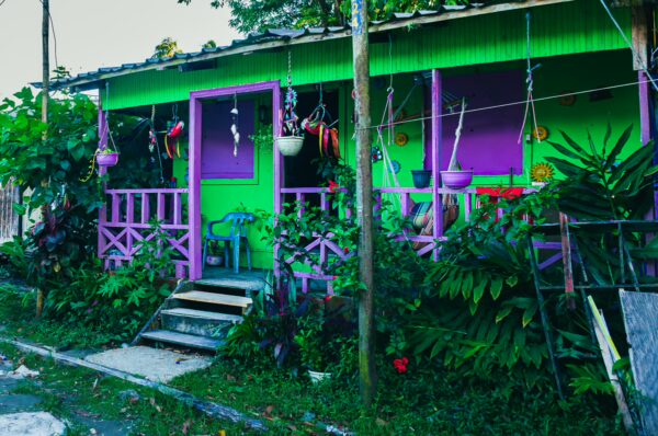 Brightly colored green and purple house surrounded by lush tropical plants in Ladrilleros, Valle del Cauca, Colombia.