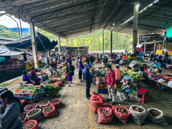 Vibrant market scene in Cauca, Colombia, featuring colorful produce stalls, local vendors, and lively shoppers amidst a rustic setting.