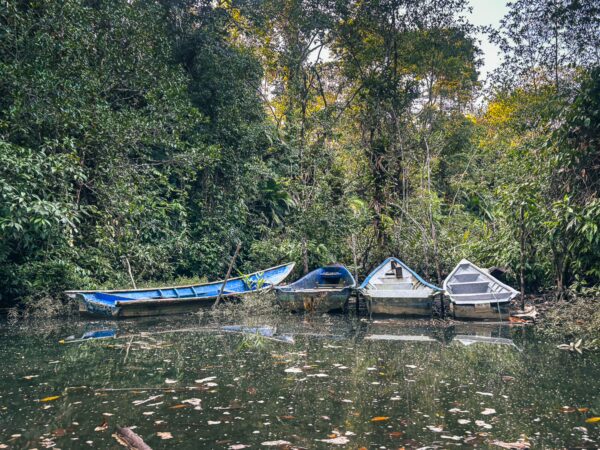 Colorful boats anchored in a lush, green setting at the natural pool in Ladrilleros, Valle del Cauca, Colombia.