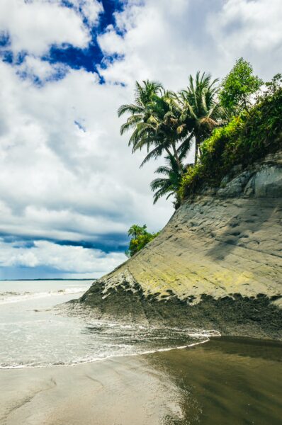 Lush palm trees rise above the sandy shoreline, with gentle waves lapping at the coast in Ladrilleros, Valle del Cauca, Colombia.