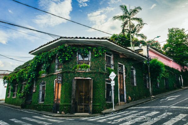 Vibrant green ivy covers this charming house in San Antonio, Cali, Valle del Cauca, Colombia, framed by palm trees and a blue sky.