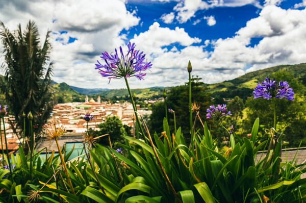 Vibrant purple flowers bloom in the foreground, overlooking the scenic hills and charming rooftops of Silva, Cauca, Colombia.