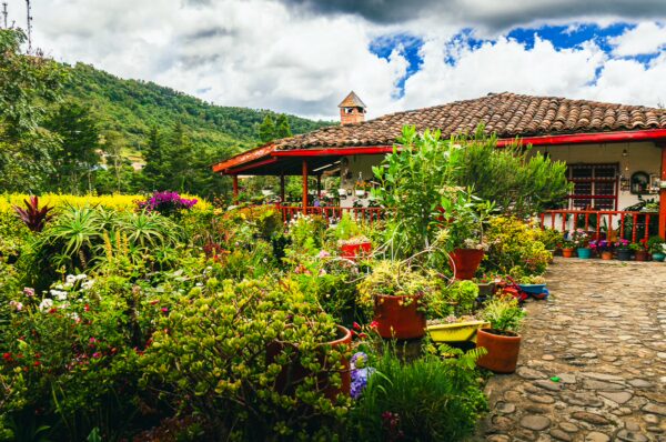 Vibrant garden bursting with flowers and plants surrounds a rustic house in the picturesque Cauca, Colombia.