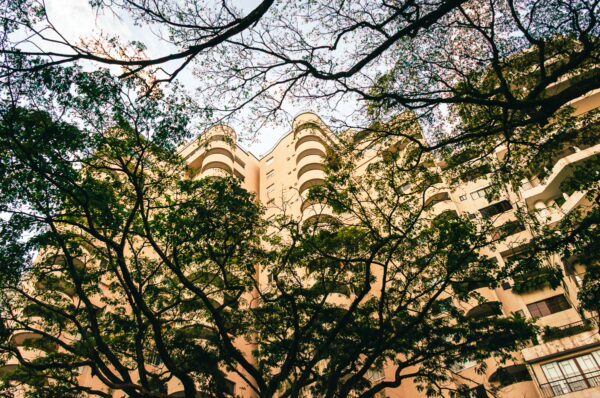 Lush greenery frames a modern building in Parque del Gato de Tejada, highlighting urban nature in Cali, Valle del Cauca.
