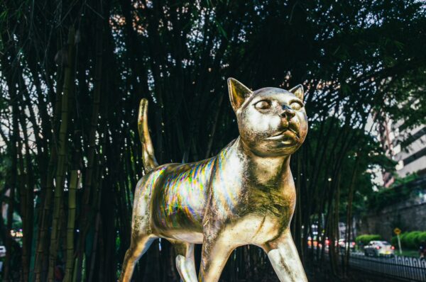Golden cat sculpture stands proudly amidst lush greenery at Parque del Gato de Tejada in Cali, Valle del Cauca, Colombia.