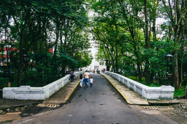 Trees line the pathway leading to a bright white monument in Popayán, Cauca, Colombia, with visitors strolling along.