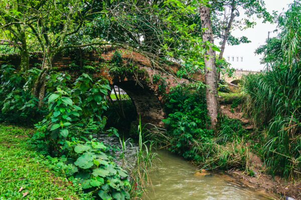 Historic Puente del Humilladero arching over a serene stream, surrounded by lush greenery in Popayán, Cauca, Colombia.