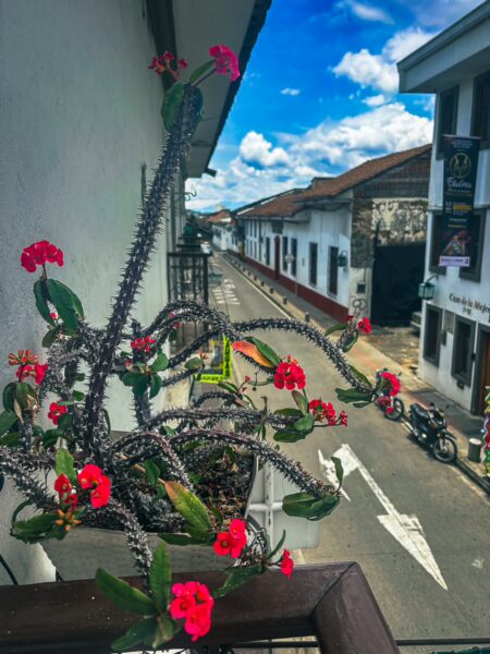 Vibrant red flowers bloom along a balcony overlooking a charming street in Popayán, Cauca, Colombia, under a blue sky.