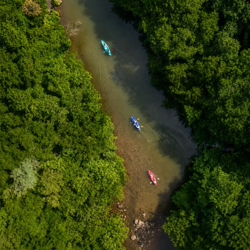 Kayaking on Tamarin River in Mauritius