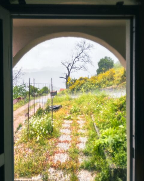 Lush greenery and wildflowers frame an arched doorway in Lagadia, Arcadia, Greece, offering a glimpse of nature's beauty.