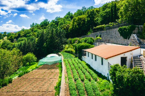 Lush greenery surrounds Panagia Kernitsis Monastery in Arcadia, Greece, with terraced fields and a clear blue sky.