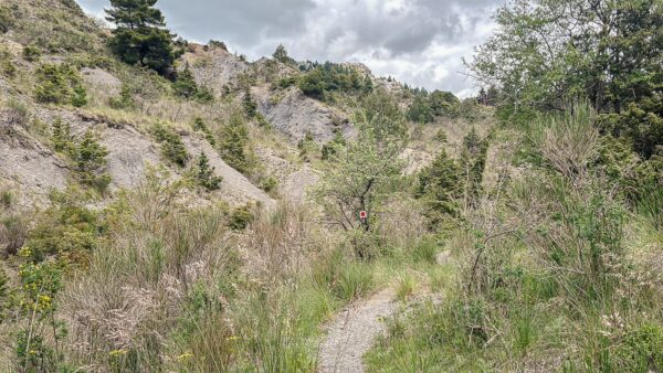 Lush greenery and rocky terrain outline a serene hiking path in Zygovisti, near Elati, Menalon, Arcadia, Greece.