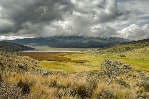 Majestic landscape featuring rolling green hills and a cloudy sky near Ruminahui, Ecuador, with hints of yellow grass in the foreground.