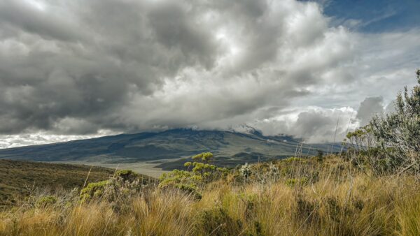Lush grasses and shrubs frame the dramatic landscape of Volcán Rumiñahui, Ecuador, beneath a sky filled with clouds.