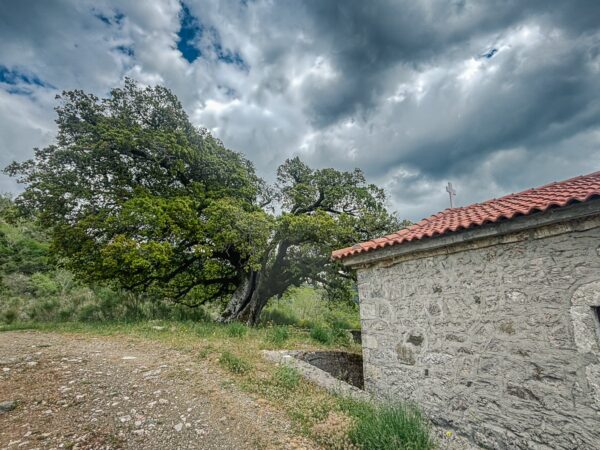 A stone building with a red roof alongside a large tree under a cloudy sky in Zygovisti, Elati, Menalon, Arcadia, Greece.